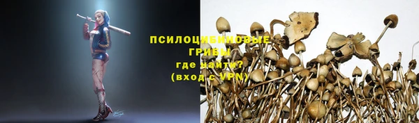 герыч Балахна
