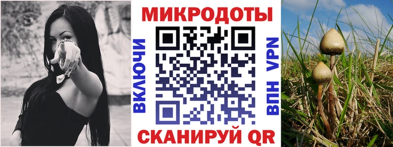 гидра как войти  Верхнеуральск  Галлюциногенные грибы ЛСД 